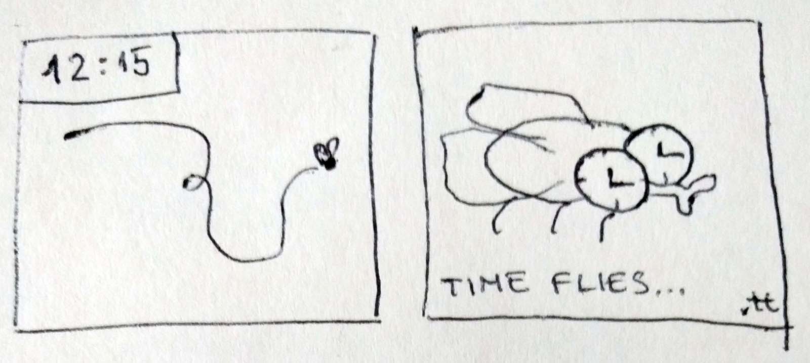 Time flies