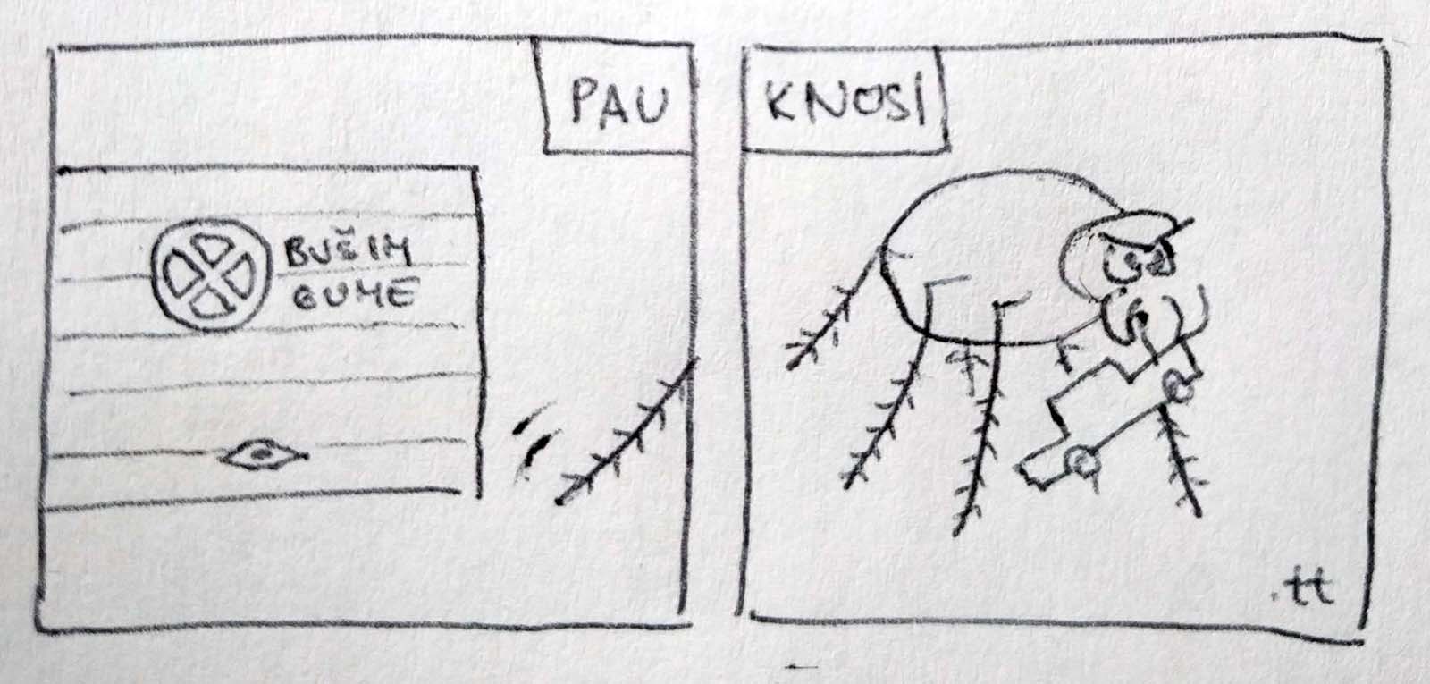 Spider