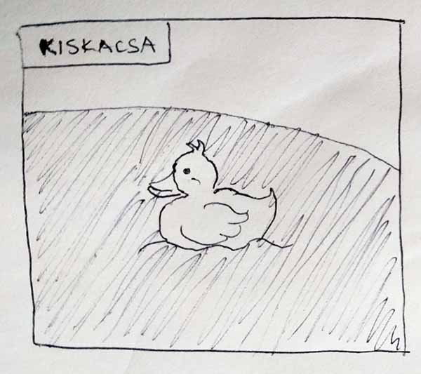 Duckling