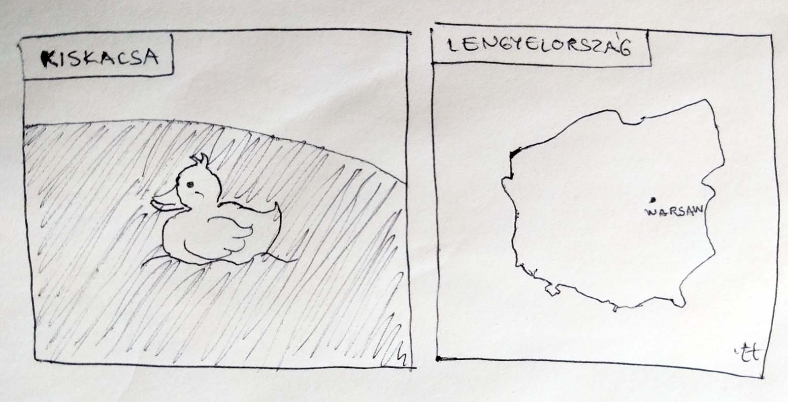 Duckling