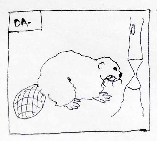 Beaver