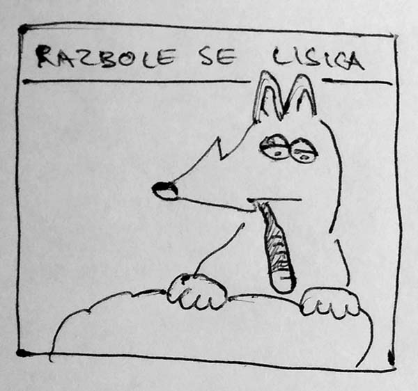 Sick fox