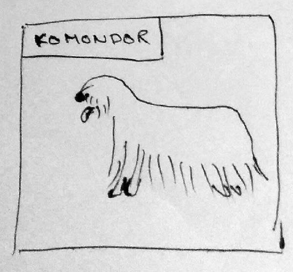 Komondor